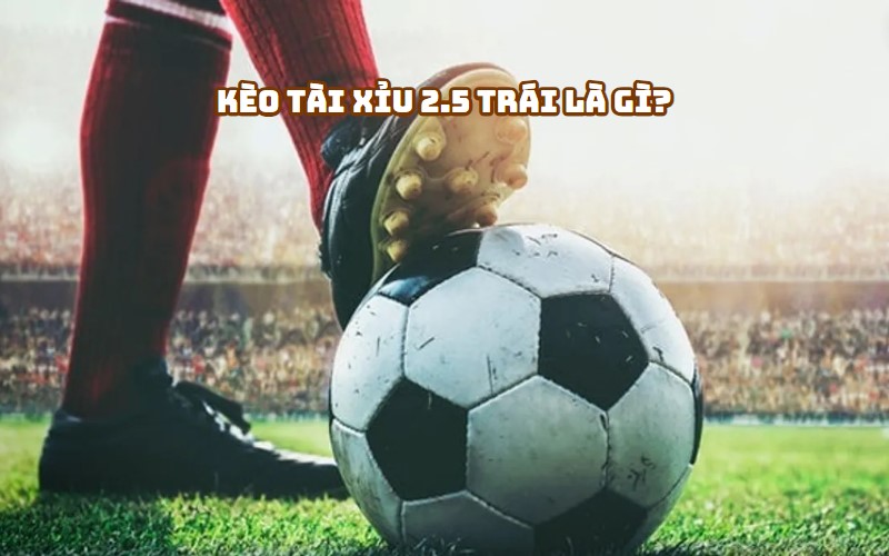 Kèo Tài Xỉu 2.5 Trái Là Gì?